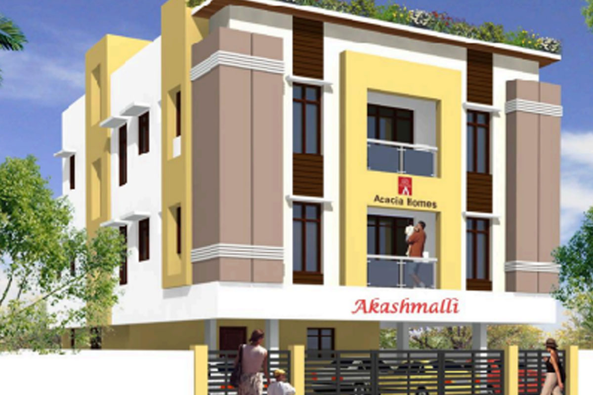 Acacia’s AKASHMALLI